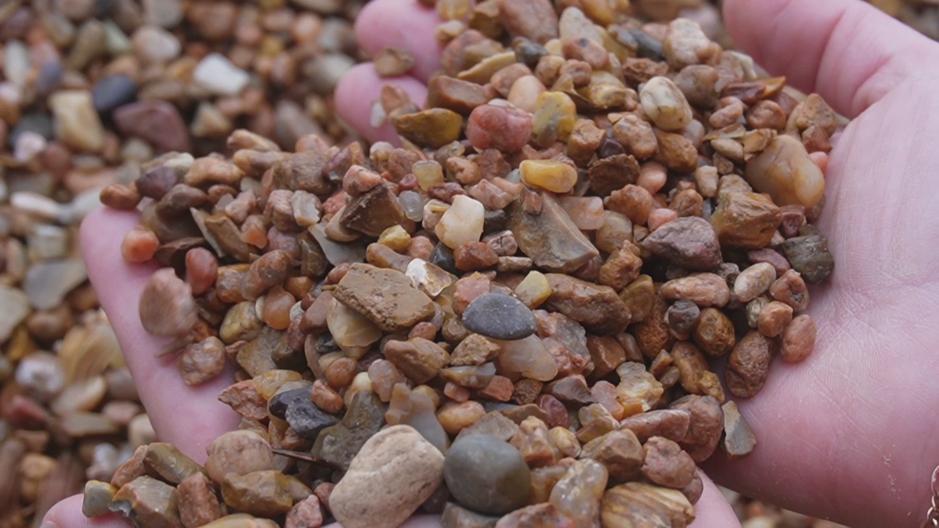 Load video: Pea Gravel